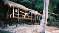 LowRes_co_wai_0008_thumb.png