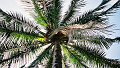 LowRes_co_wai_0010_thumb.png