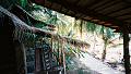 LowRes_co_wai_0012_thumb.png