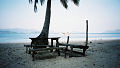 LowRes_co_wai_0014_thumb.png