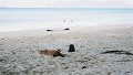 LowRes_co_wai_0016_thumb.png