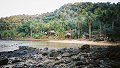 LowRes_co_wai_0018_thumb.png