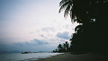 LowRes_co_wai_0020_thumb.png