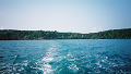 LowRes_co_wai_0023_thumb.png